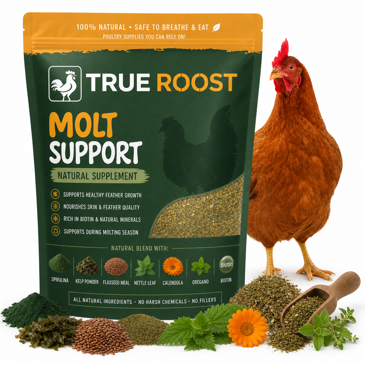 Molt Suppport